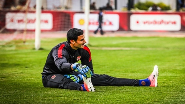 محمد الشناوي