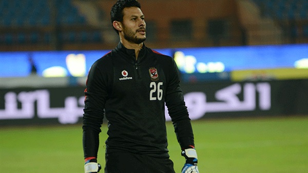 محمد الشناوي