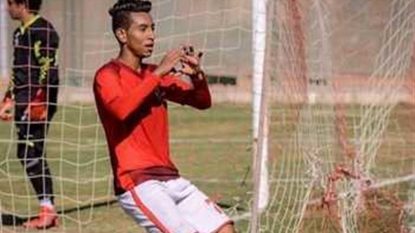 حمادة الفيل