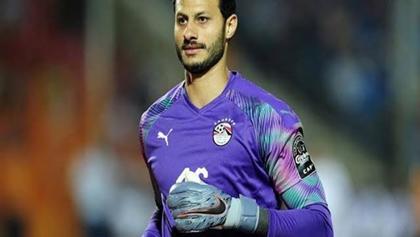 محمد الشناوي