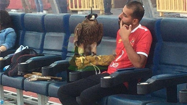 صورة من ستاد الأهلي