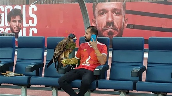 ستاد النادي الأهلي