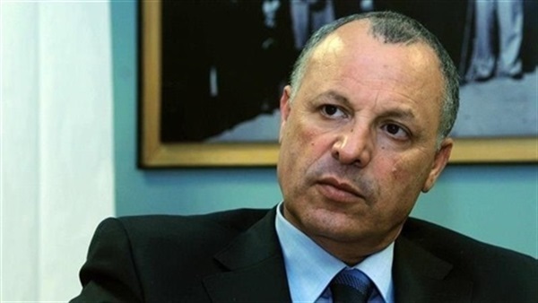 هاني أبو ريدة