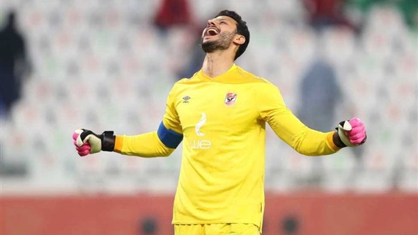 محمد الشناوي