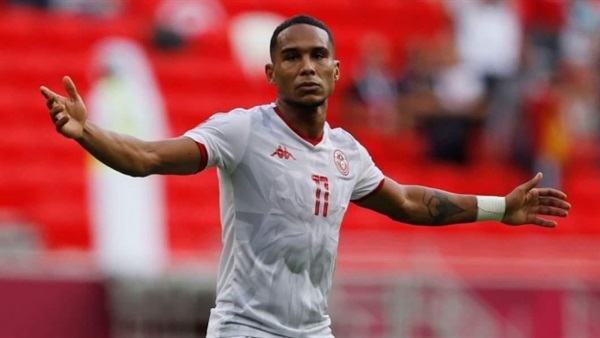 سيف الدين الجزيرى