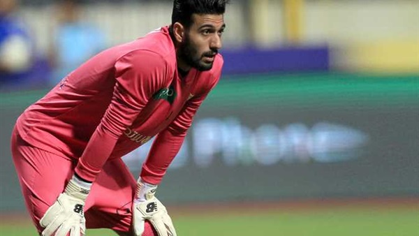 احمد الشناوي