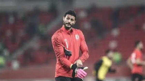 محمد الشناوي 