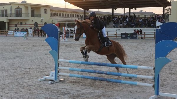 بطولة الفروسية 