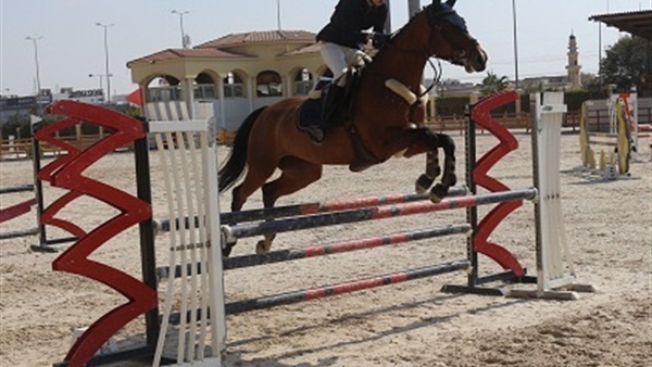 بطولة الجمهورية للفروسبة