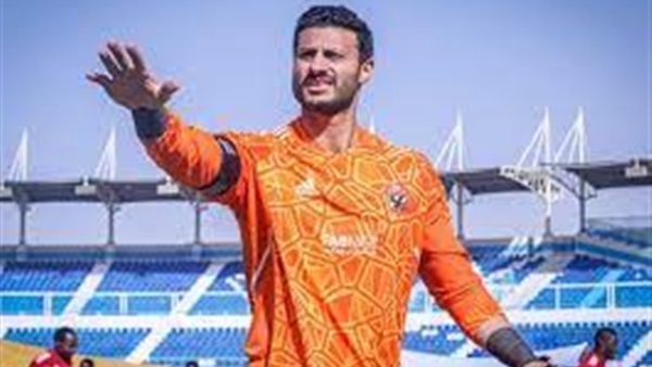 محمد الشناوي 