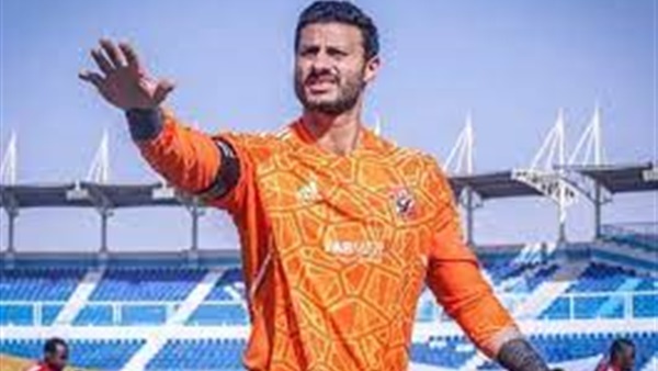 محمد الشناوي 