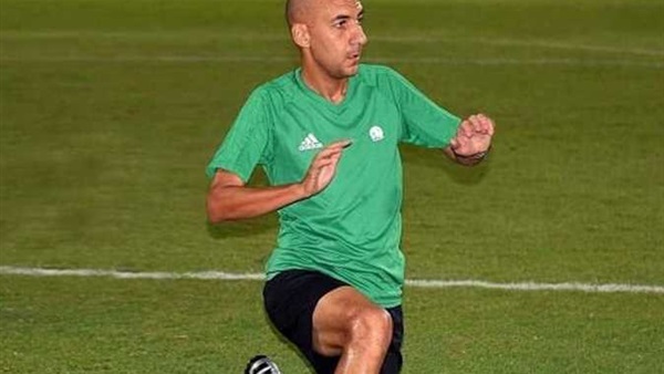 محمد عادل 