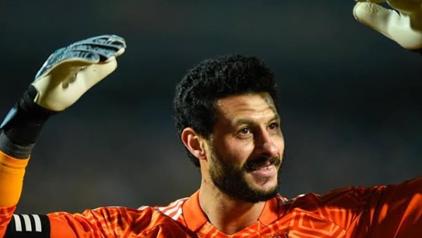 محمد الشناوي 