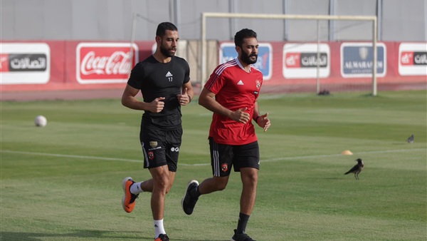 عمرو السولية 