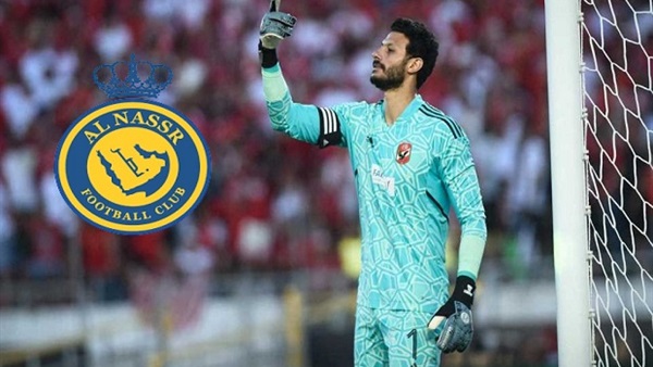 محمد الشناوي 