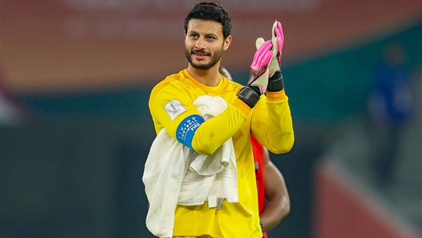 محمد الشناوي 