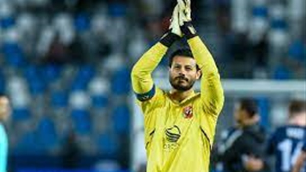 محمد الشناوي 