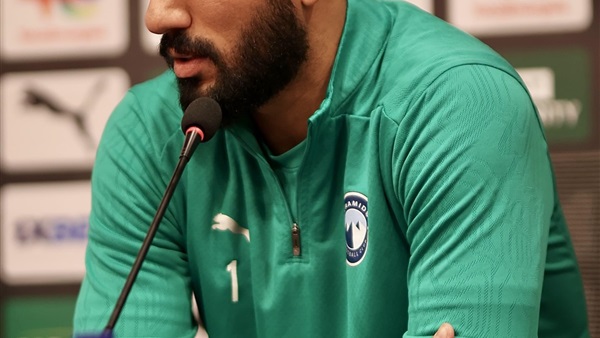 أحمد الشناوي 