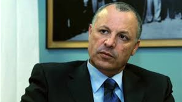 هاني أبو ريدة 