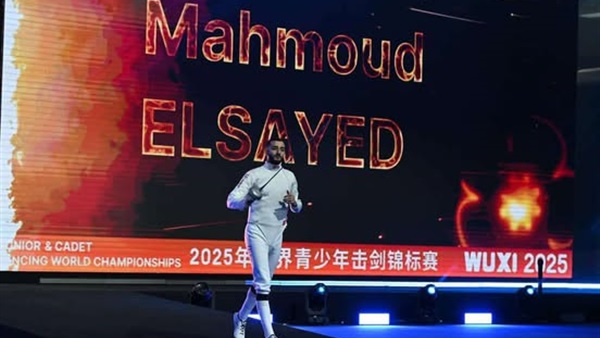 محمود السيد 