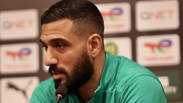 أحمد الشناوي 