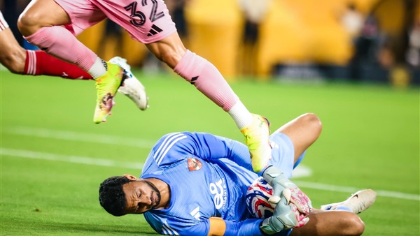 محمد الشناوي