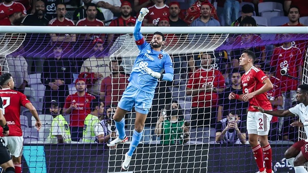 محمد الشناوي 