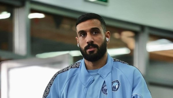 أحمد الشناوي 