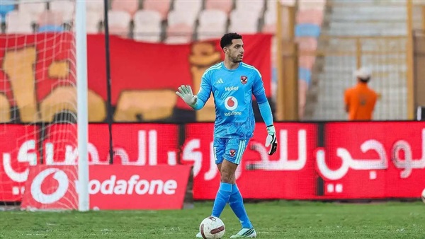 مصطفى شوبير