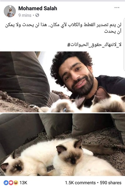 شاهد.. محمد صلاح